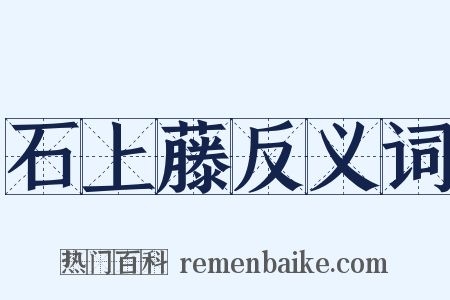 石上藤反义词是什么意思的图片